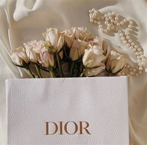 dior aesthetic outfits|dior aesthetic brand.